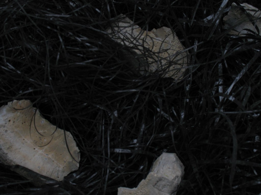 The Artist as Communist&nbsp;Alien(2010)