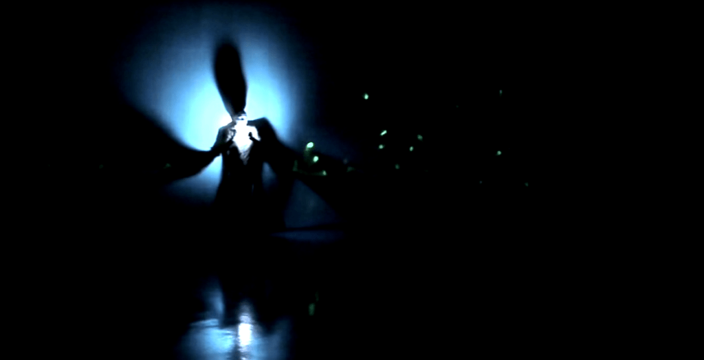 Ephemeral Traces (2011)