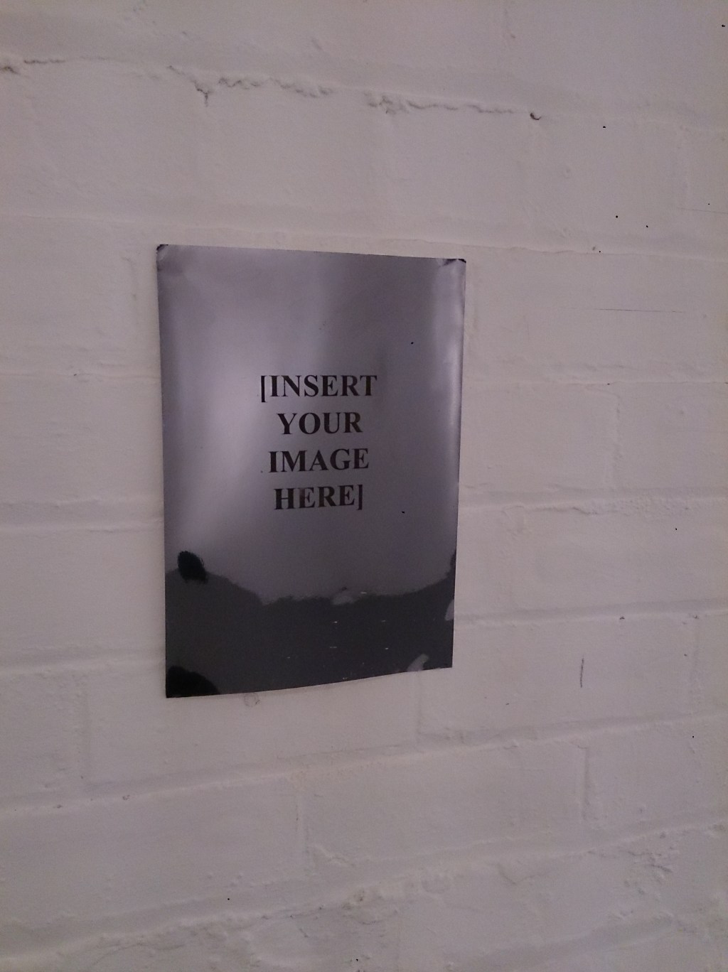 [INSERT YOUR IMAGE HERE]&nbsp;(2008)