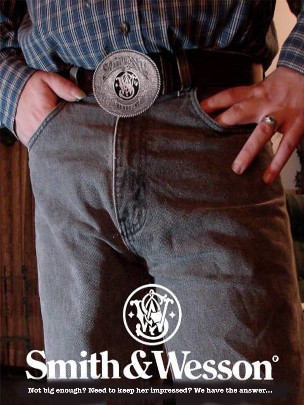 The New Smith & Wesson&nbsp;(2008)