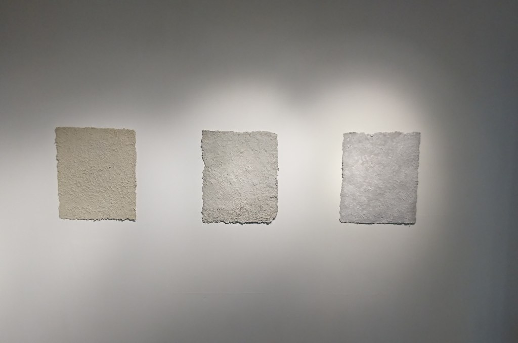 50 Shades of Liberty&nbsp;(2015)